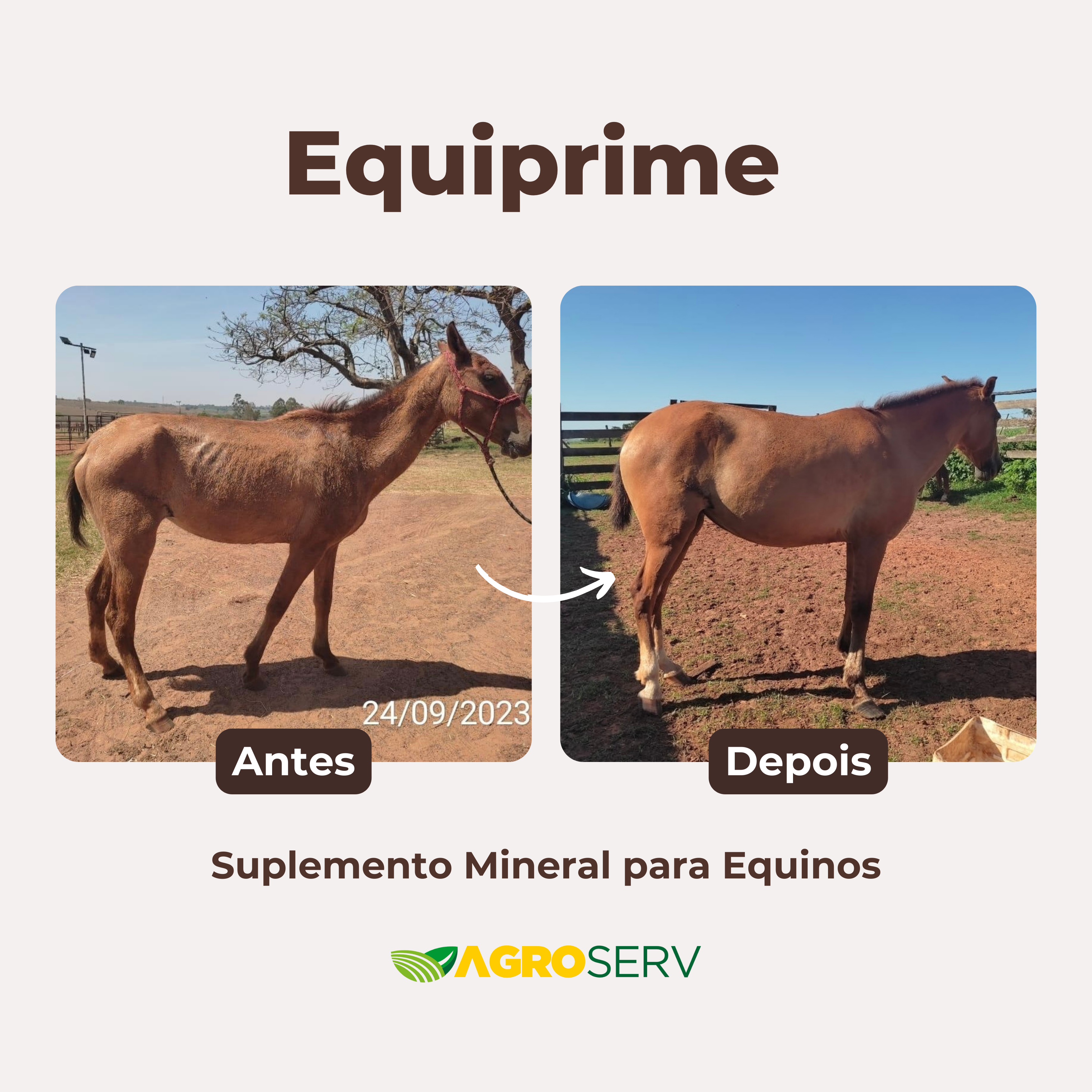 Suplemento Aminoácido para Equinos Equiprime Agros