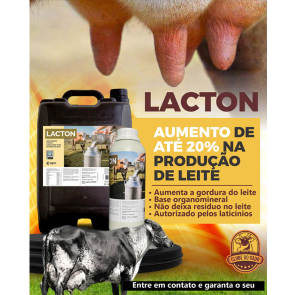 Suplemento Alimentar para Vacas em Lactação Lacton Combo 6L