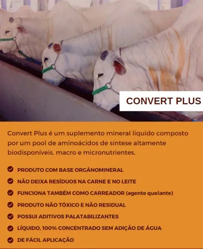 Convert Plus - Suplemento Alimentar para Gado de Engorda/Corte