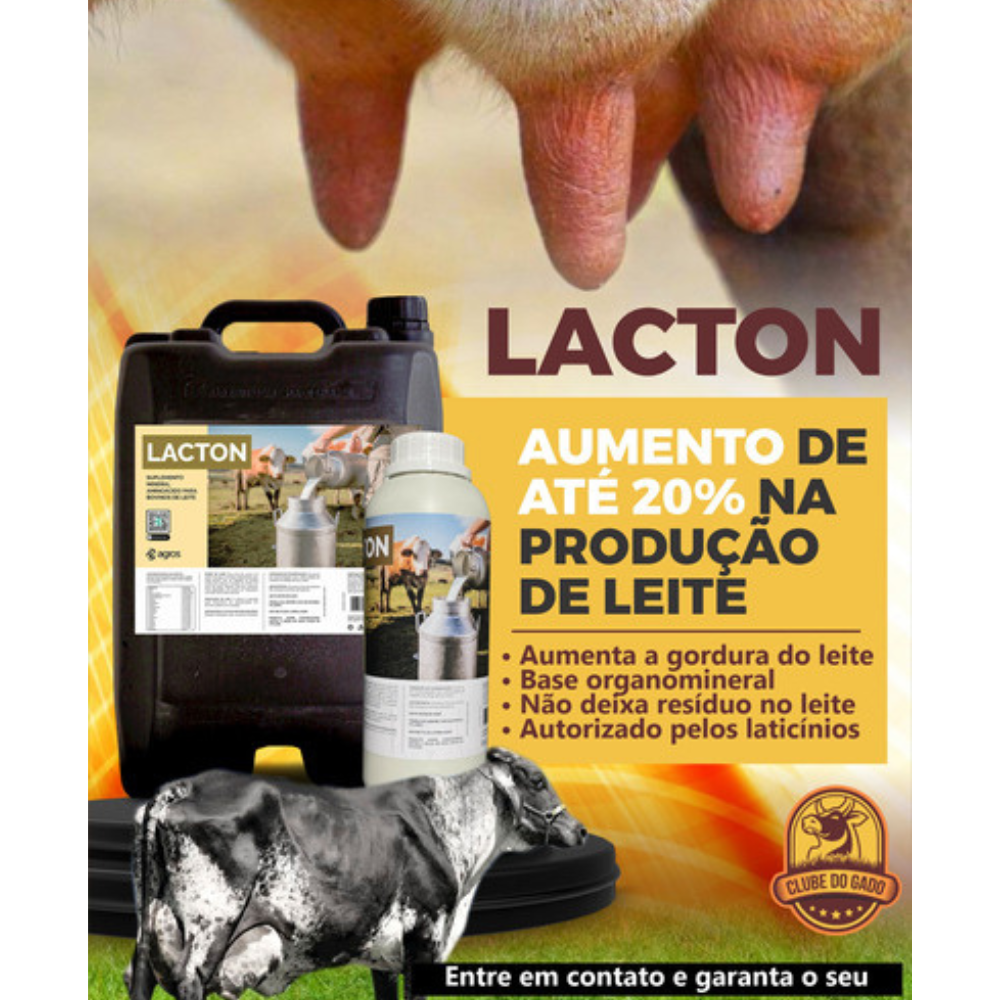 Suplemento Alimentar para Vacas em Lactação Lacton Combo 12L
