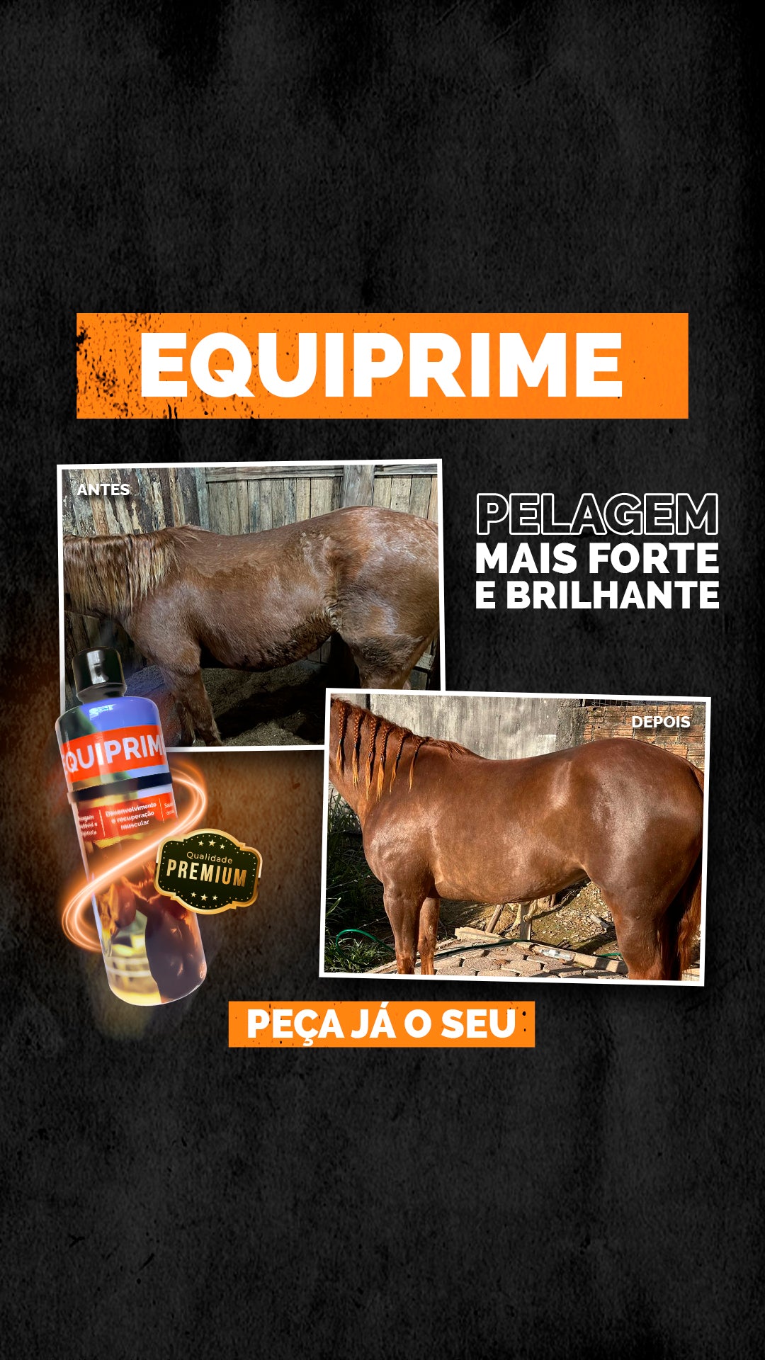 Suplemento Aminoácido para Equinos Equiprime Agros