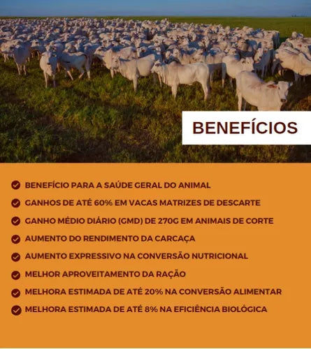 Convert Plus - Suplemento Alimentar para Gado de Engorda/Corte